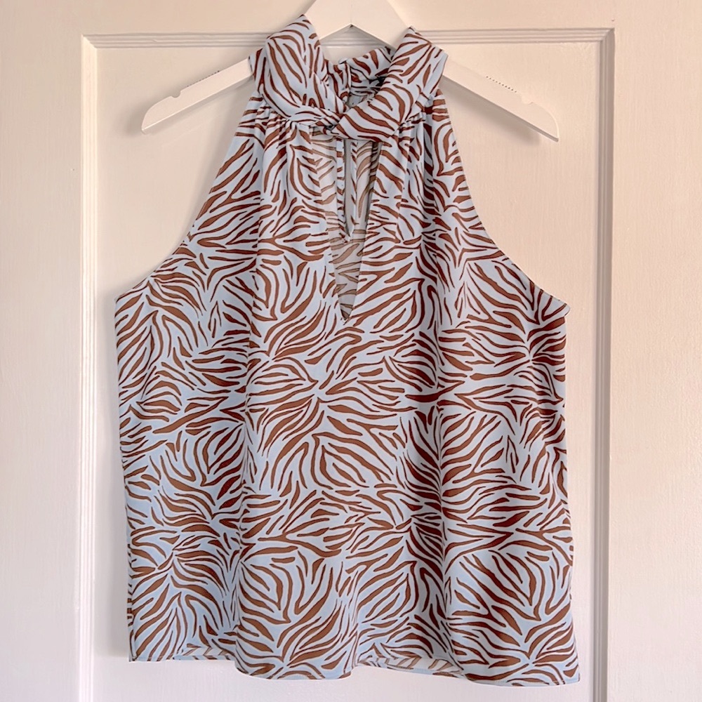 Zara Zebra Print Top Sky Blue & Brown